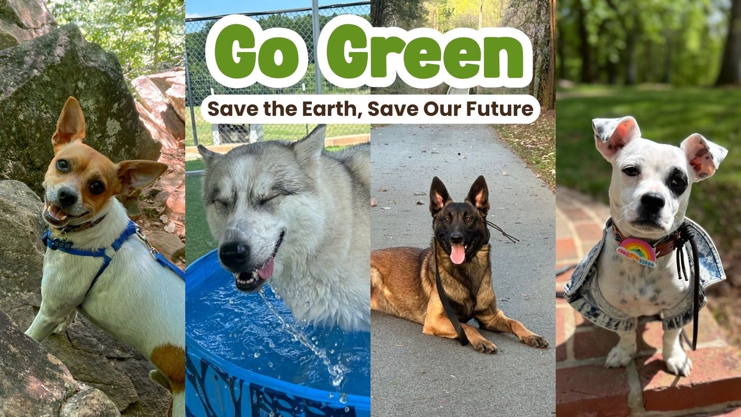 Earth Day and Your Pet’s Carbon Paw Print: 5 Ways to Be an Eco-friendlier Pet Parent