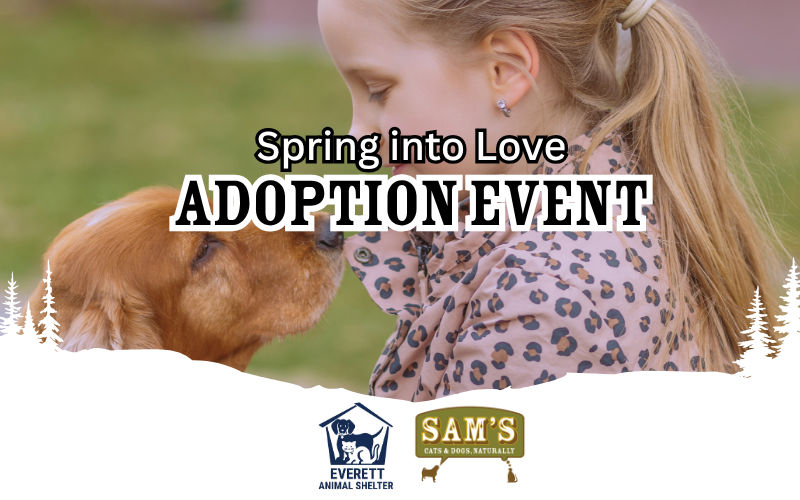 Image of Local Pet Event Spring into Love Adoption Event Nearby