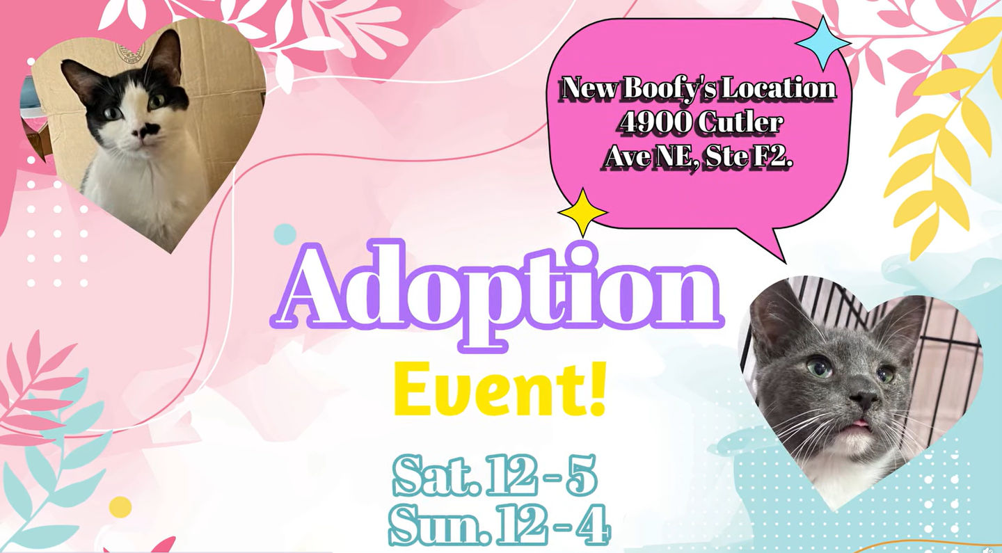 Image of Local Pet Event Adoption Day at Boofy's Kat Kastle Suites (Cutler store) Nearby