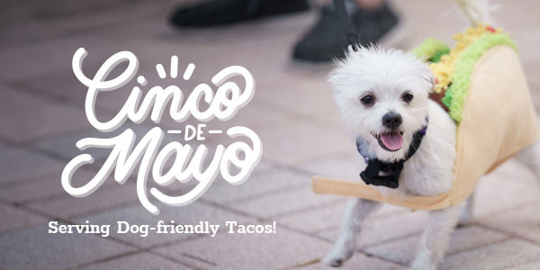 Image of Local Pet Event Cinco de Mayo Taco Tuesday Nearby