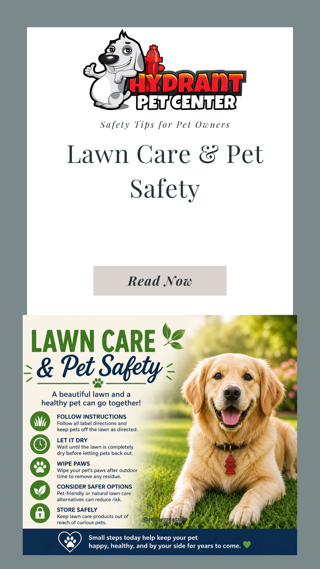 Lawn Care & Pet Safety: What Every Pet Parent Should Know