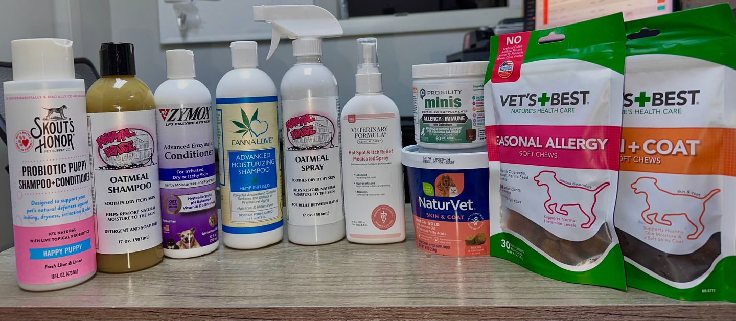 Seasonal Allergies Affecting Your Dog? We're Here to Help!