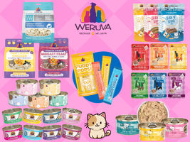Image of 20% Off Weruva for Cats Promotion in Sarasota