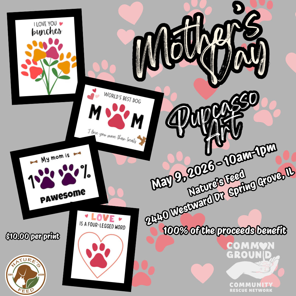 Image of Local Pet Event Mother's Day Pupcasso Nearby