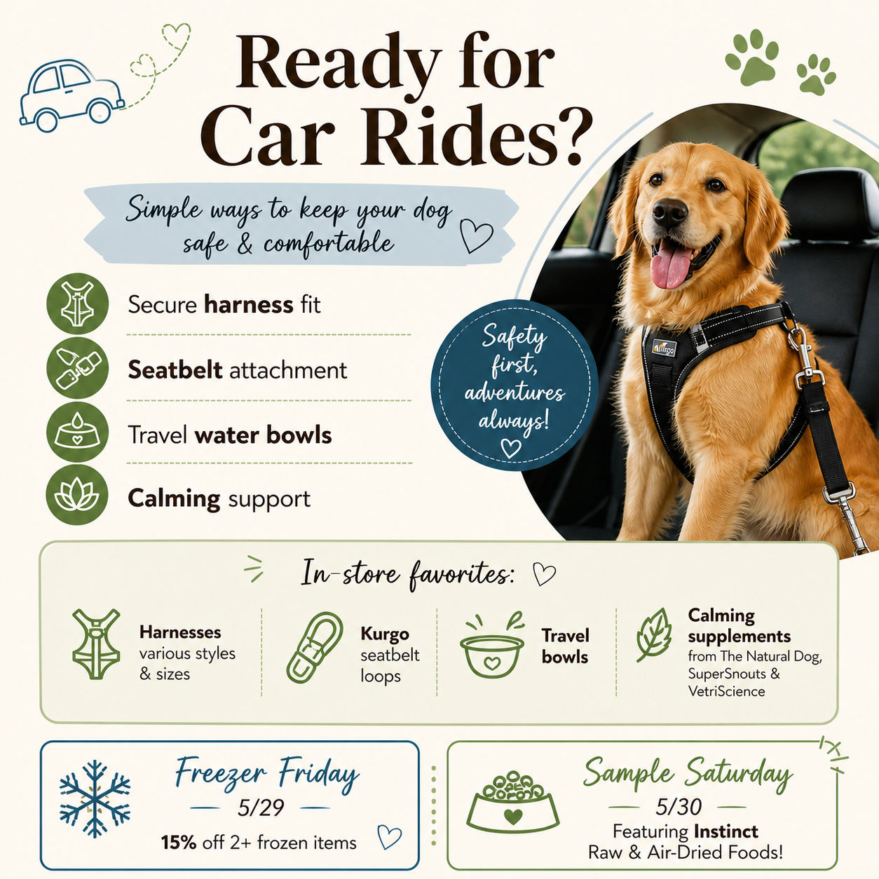 Car Ride Safety for Dogs: Simple Ways to Travel Comfortably