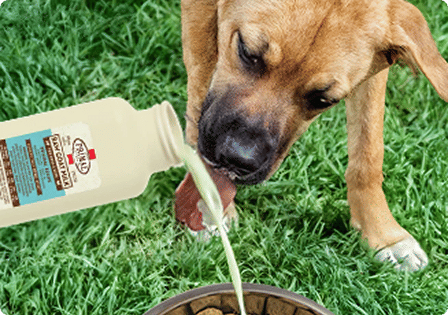 Can Dogs Have Goat Milk?