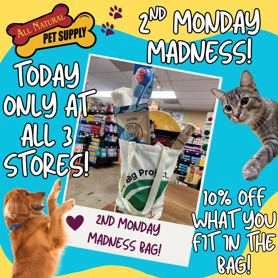 Image of Local Pet Event 2nd Monday Madness! Nearby