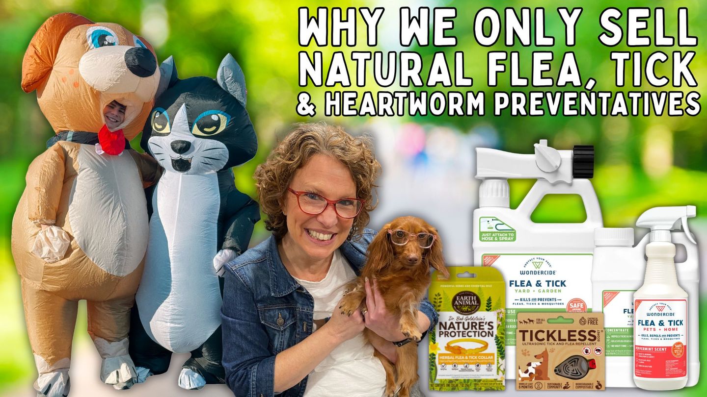 Why More Pet Parents Are Rethinking Pesticide- Based Flea, Tick & Heartworm Prevention