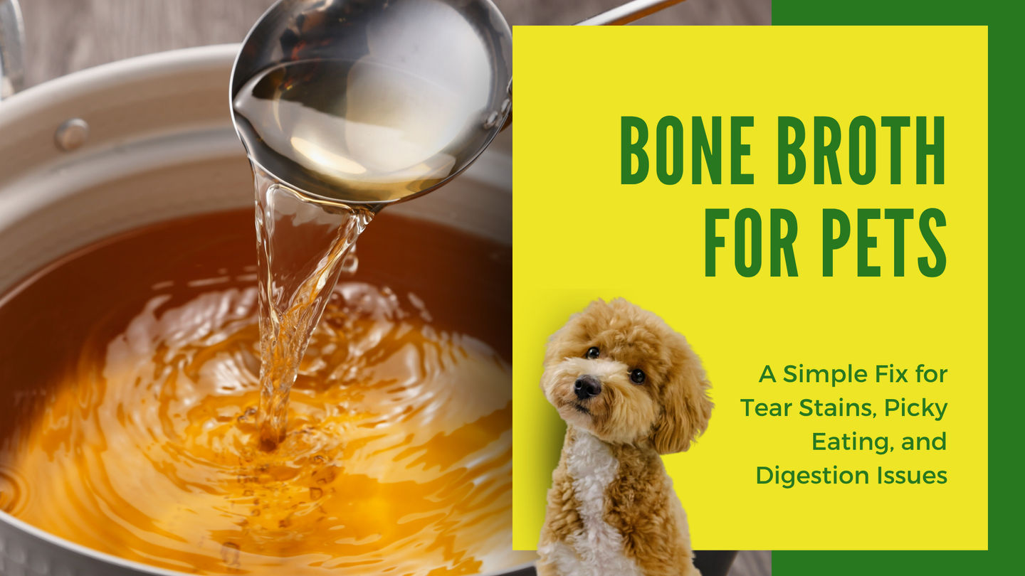 Bone Broth for Pets: A Simple Fix for Tear Stains, Picky Eating, and Digestion Issues