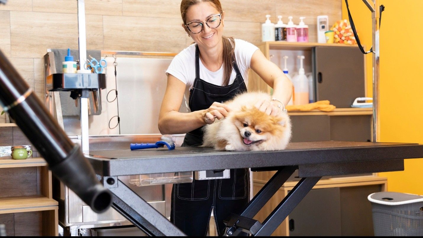 Dog Groomer in Northland Kansas City