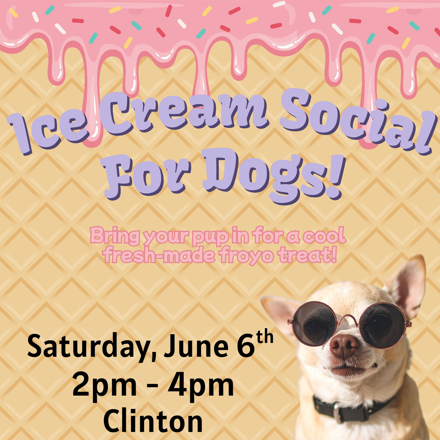 Image of Local Pet Event Doggie Ice Cream Social Nearby