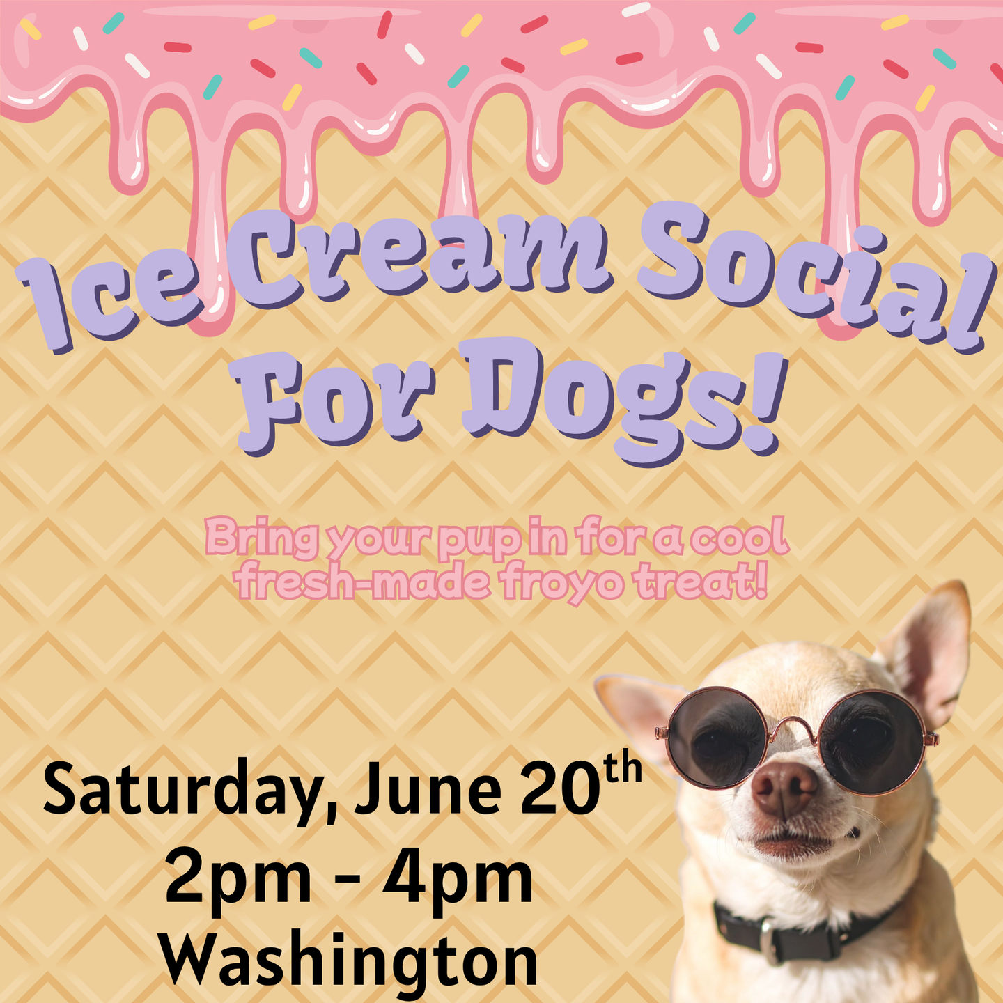 Image of Local Pet Event Doggie Ice Cream Social Nearby