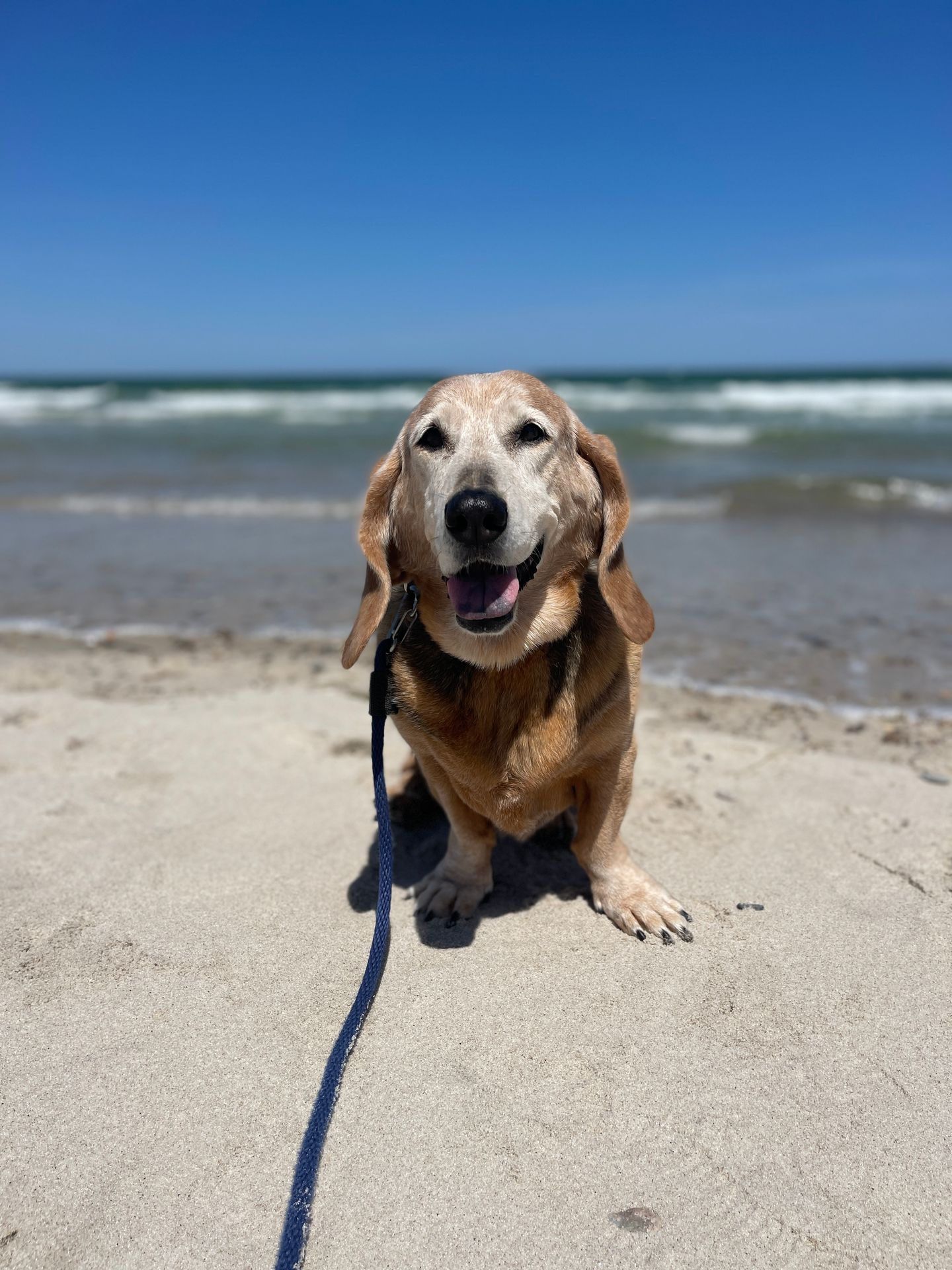 Growing Old Gracefully (And A Few Things I'd Change)