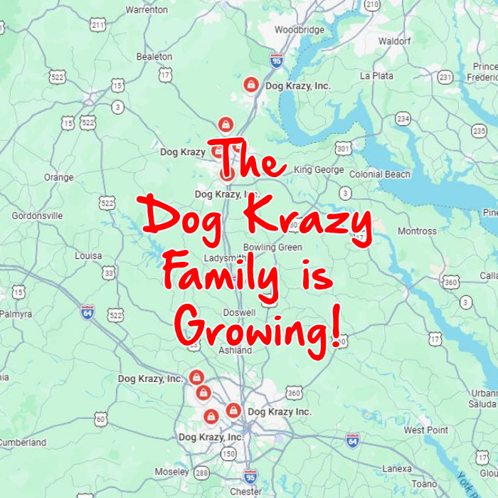Big Things Are Happening at Dog Krazy