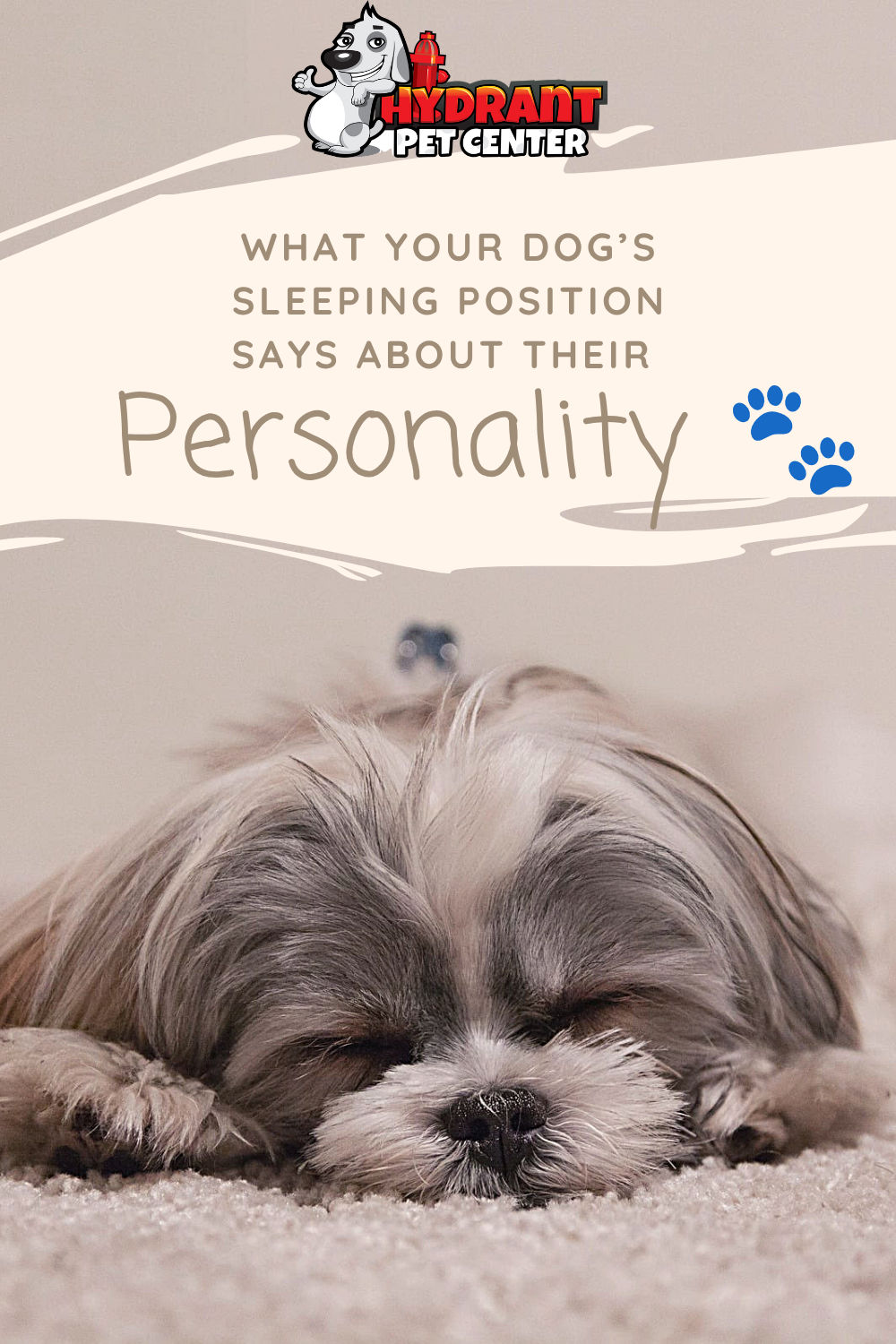 What Your Dog’s Sleeping Position Says About Their Personality