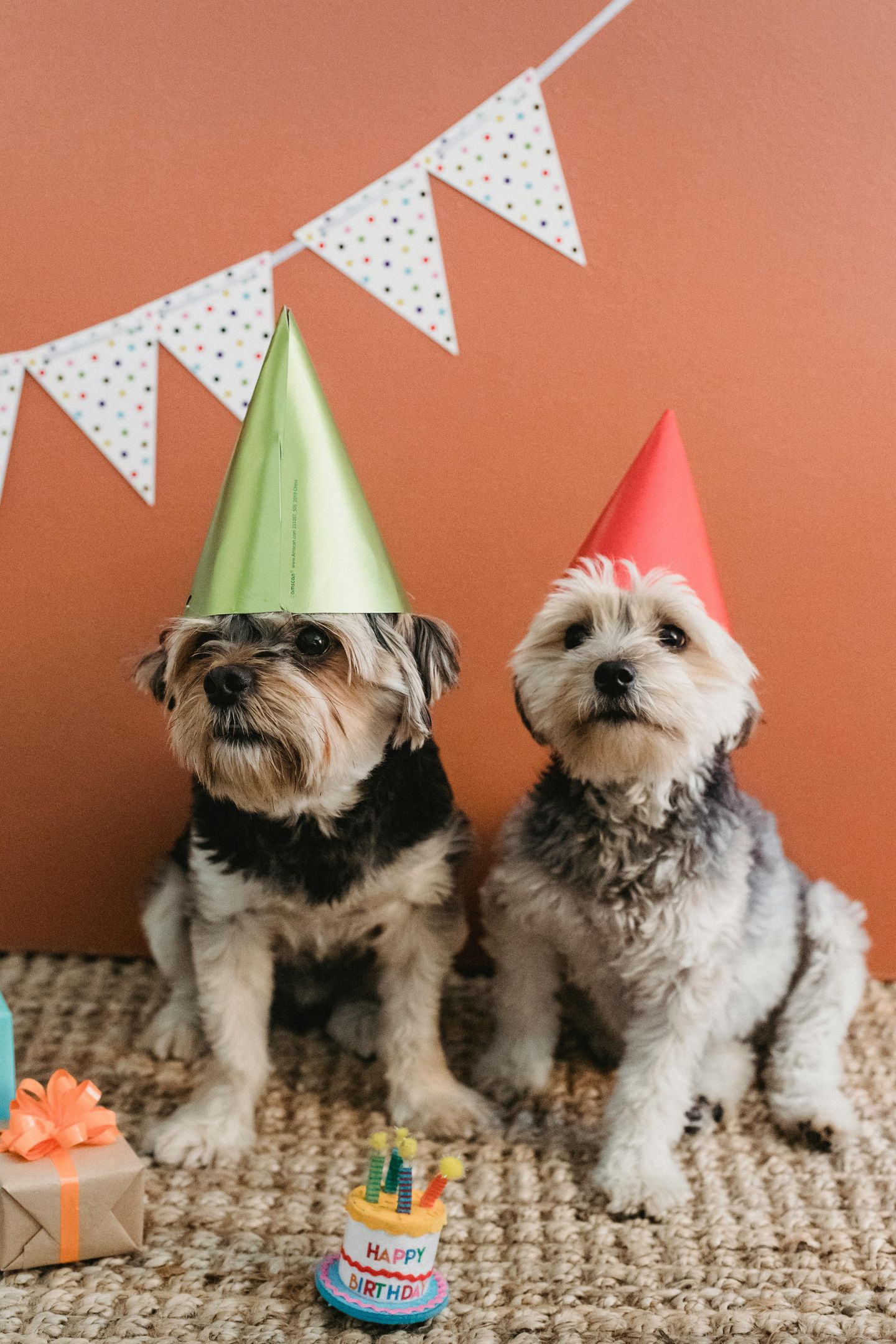 New Birthday Rewards Program!