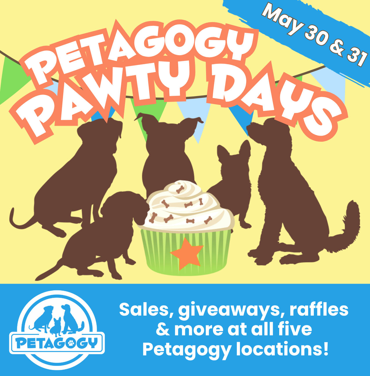 Image of Local Pet Event Petagogy PAWty Days Nearby