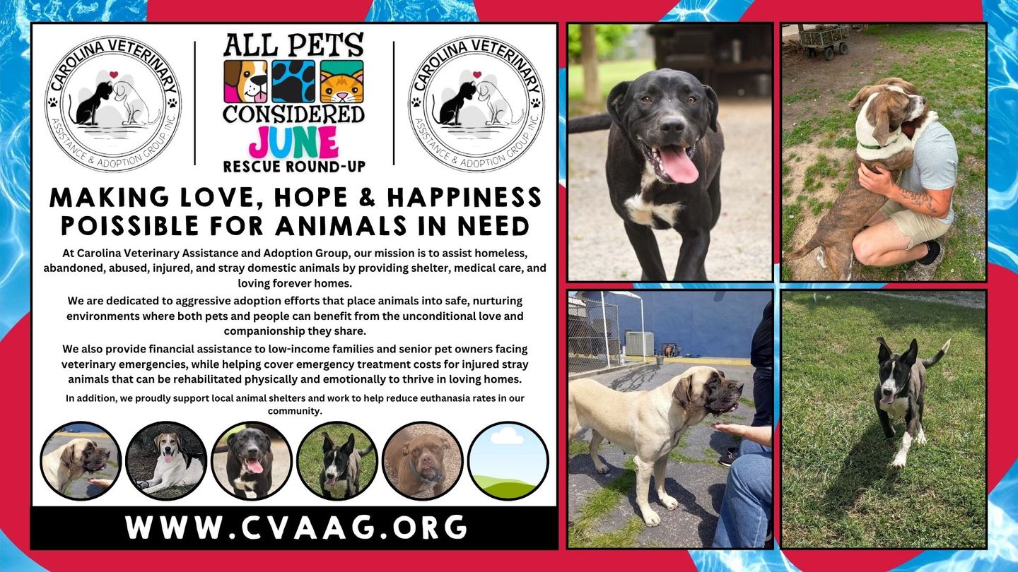 Image of Local Pet Event APC June Rescue Round-Up Nearby