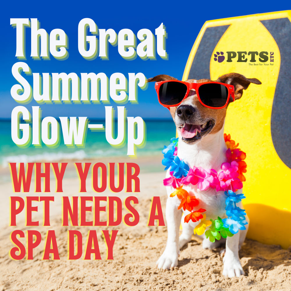 The Great Summer Glow-Up: Why Your Pet Needs a Spa Day