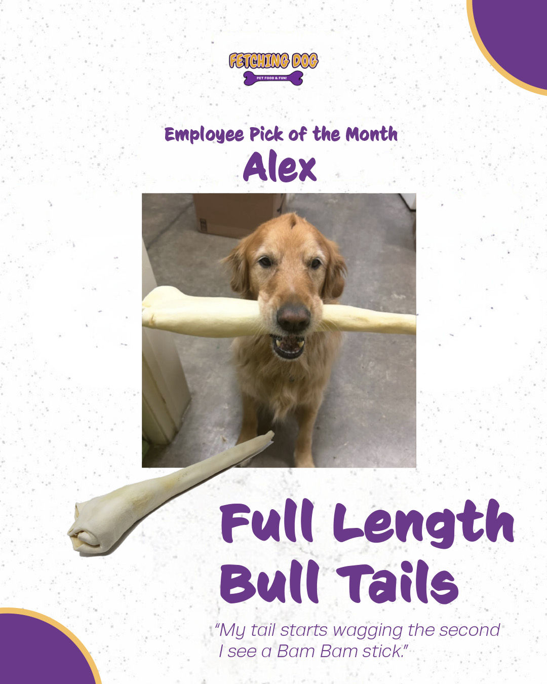 Employee Pick of the Month | June 2026