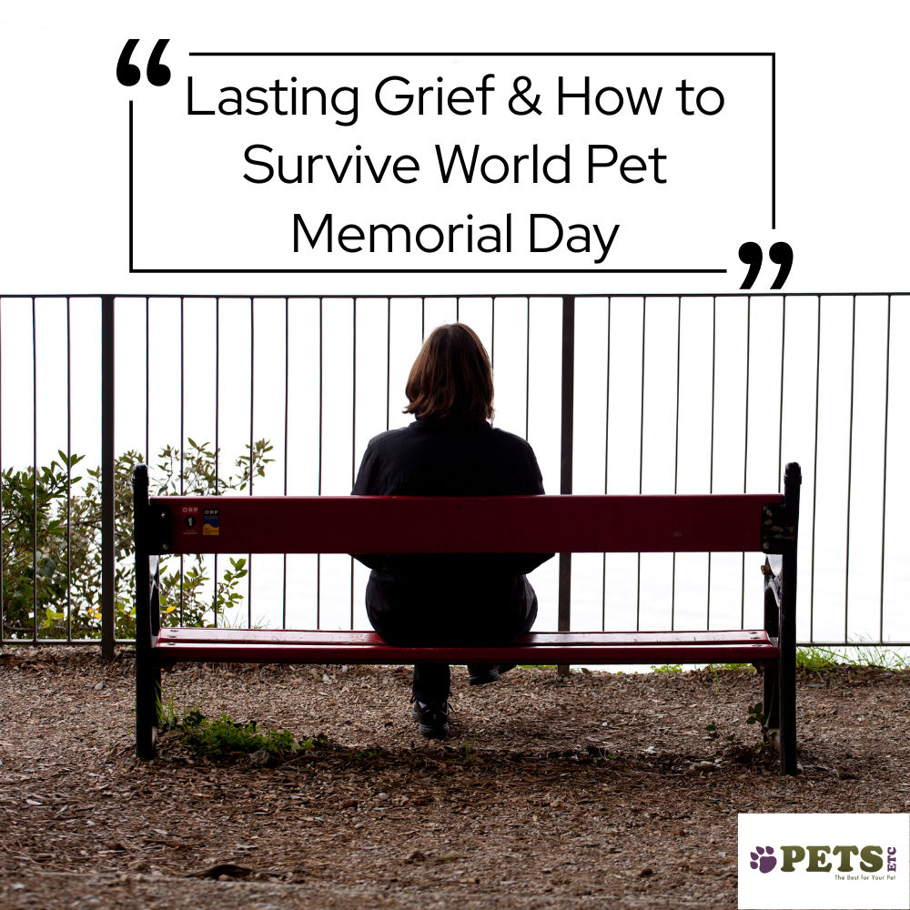 Lasting Grief & How to Survive World Pet Memorial Day