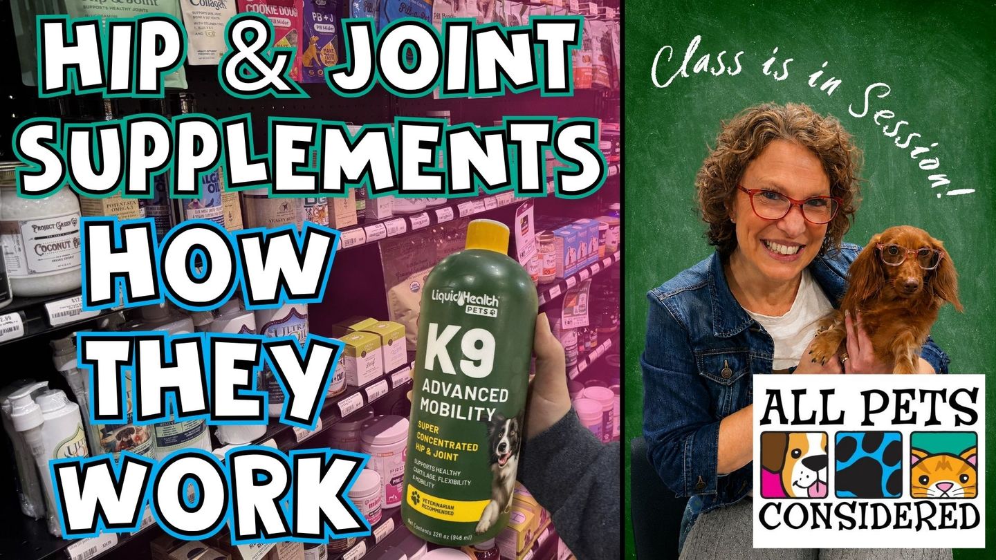 Hip & Joint Supplements for Pets: What They Do and Why Starting Early Matters