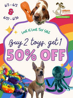 Image of Love is Love Toy Sale! Promotion in Chicago