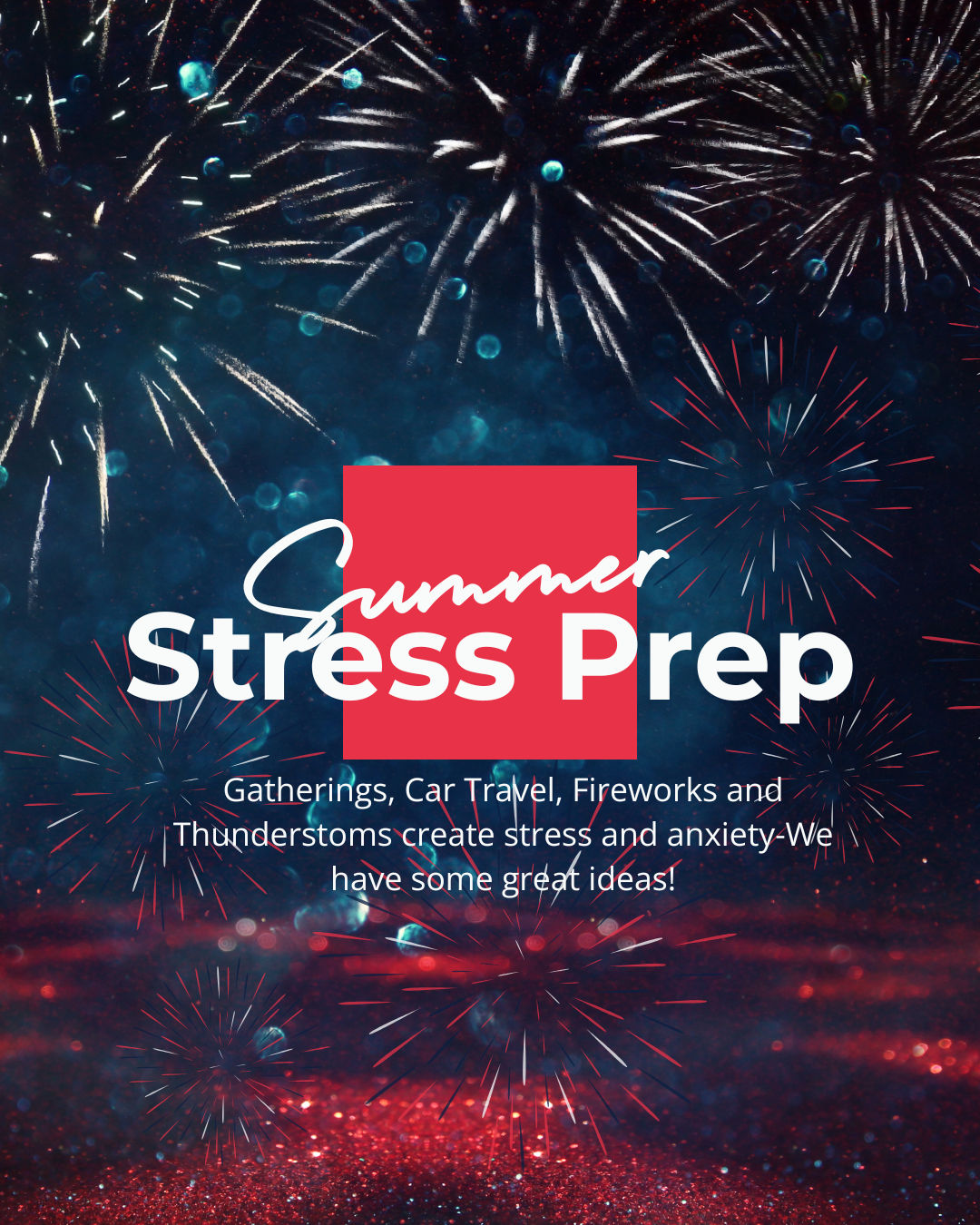 Helping Dogs Stay Calm During Fireworks, Thunderstorms & Summer Adventures