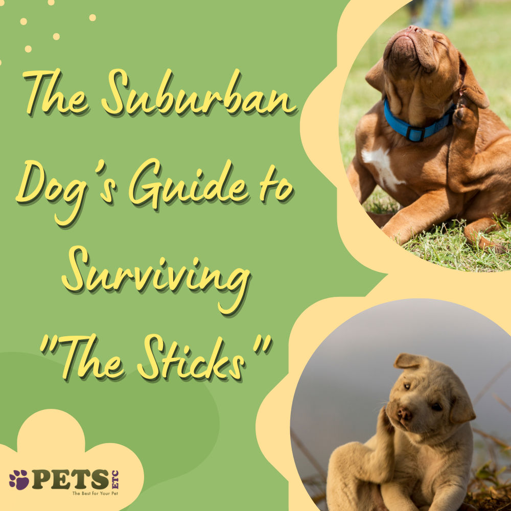 The Suburban Dog’s Guide to Surviving "The Sticks"