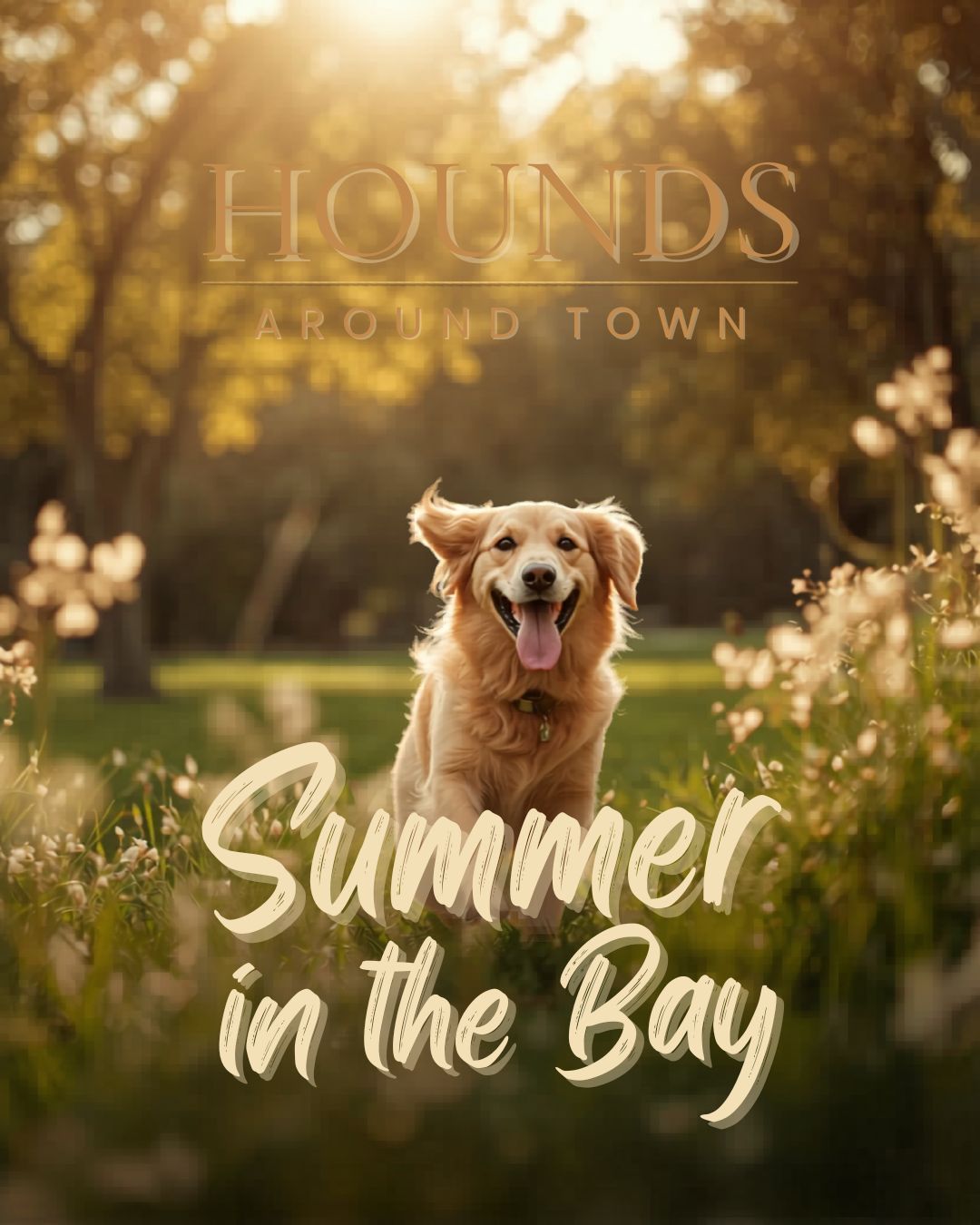 Summer in the Bay: What's New at Hounds Around Town