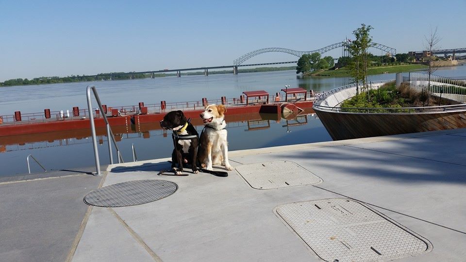 Spanky visits Alabama and Tennessee