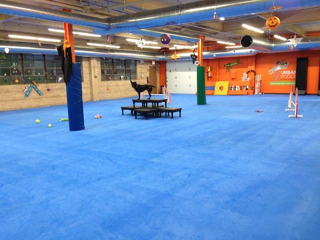 OPEN GYM begins Sat., Nov. 7th!