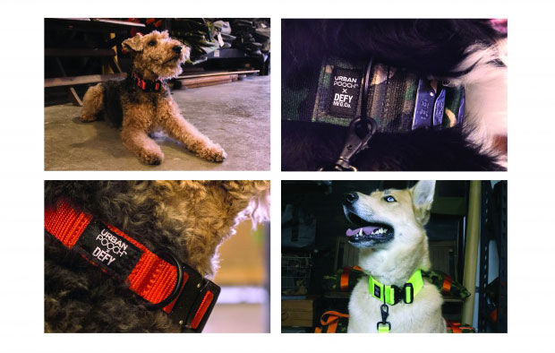 Urban Pooch DEFY – New collars and leashes!