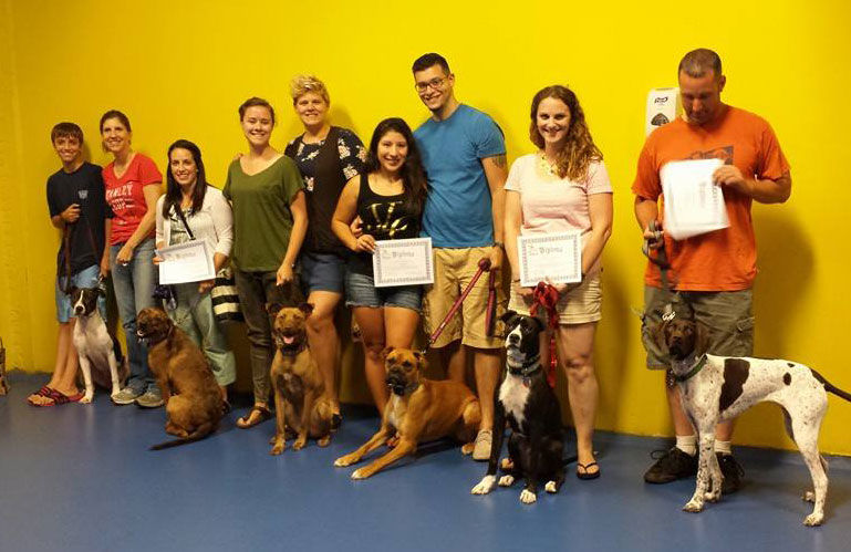 NEW Training Classes START Sept. 7th + Labor Day