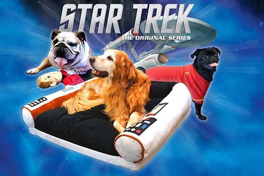 STAR TREK Pet - Just Landed At Urban Pooch! - Chicago ...