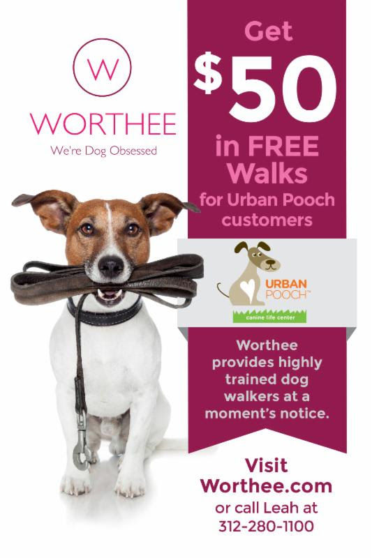 Special offer for UP customers from Worthee!