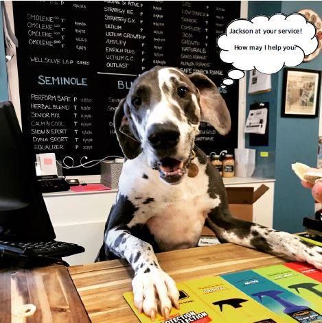 Staying Pawsitive During Times of Uncertainty  ~ COVID-19 Operational Update #3