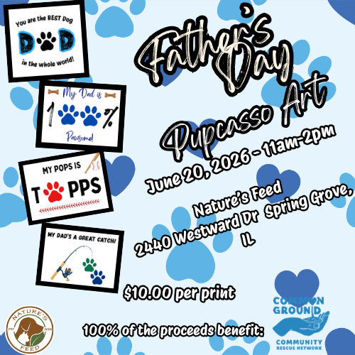 Image of Local Pet Event Father's Day Pupcasso Nearby