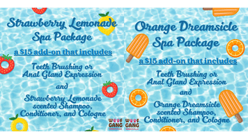 Image of June Spa Packages Promotion in Greenville