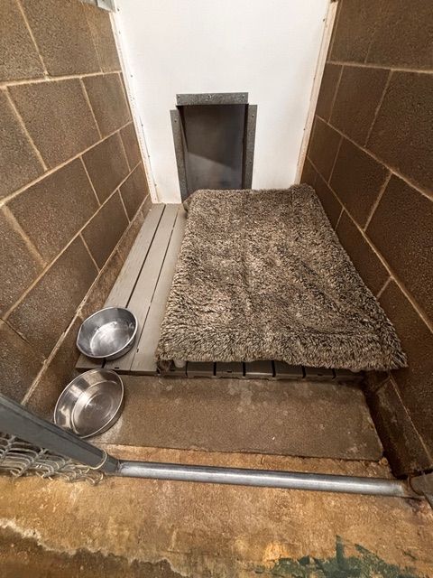 Indoor outdoor dog boarding run