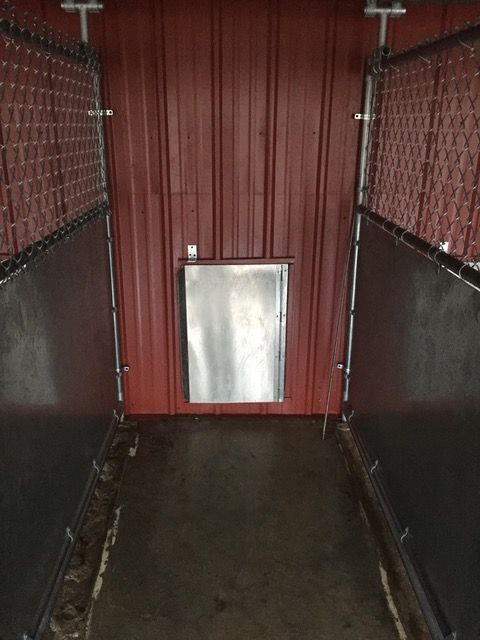 Indoor outdoor boarding kennel