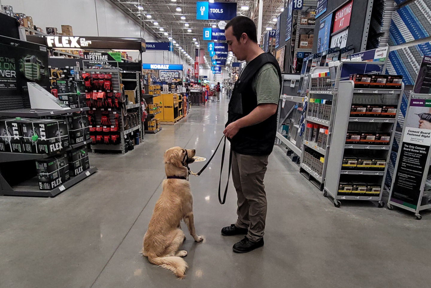 A young Golden Retriever waits for her handler’s cue during a 30-Day Board & Train field trip.