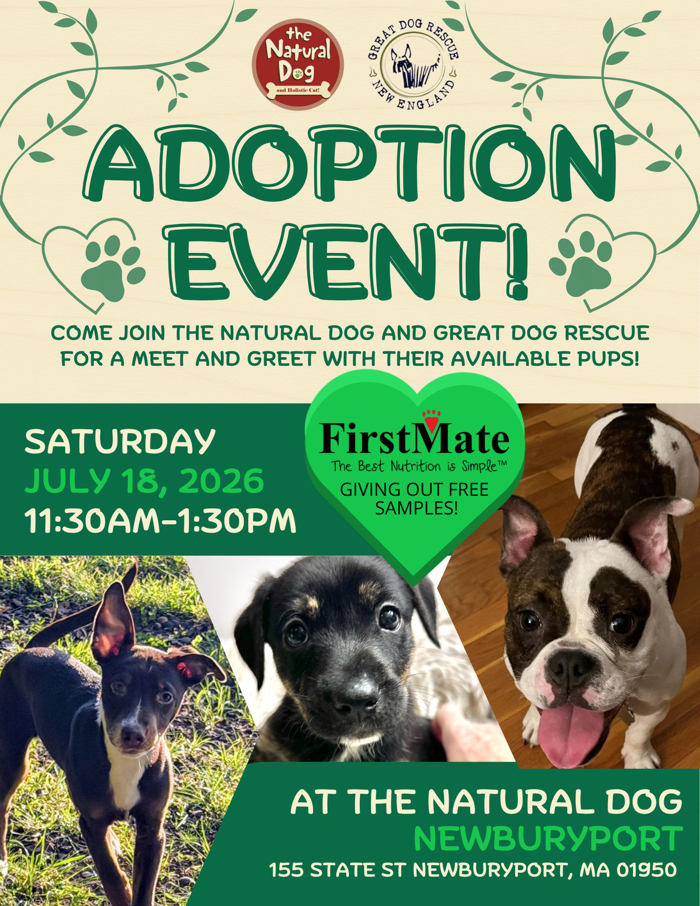 Image of Local Pet Event Adoption Event with Great Dog Rescue Nearby