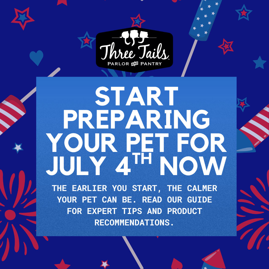 Your Complete Guide to Preparing for Fourth of July Fireworks