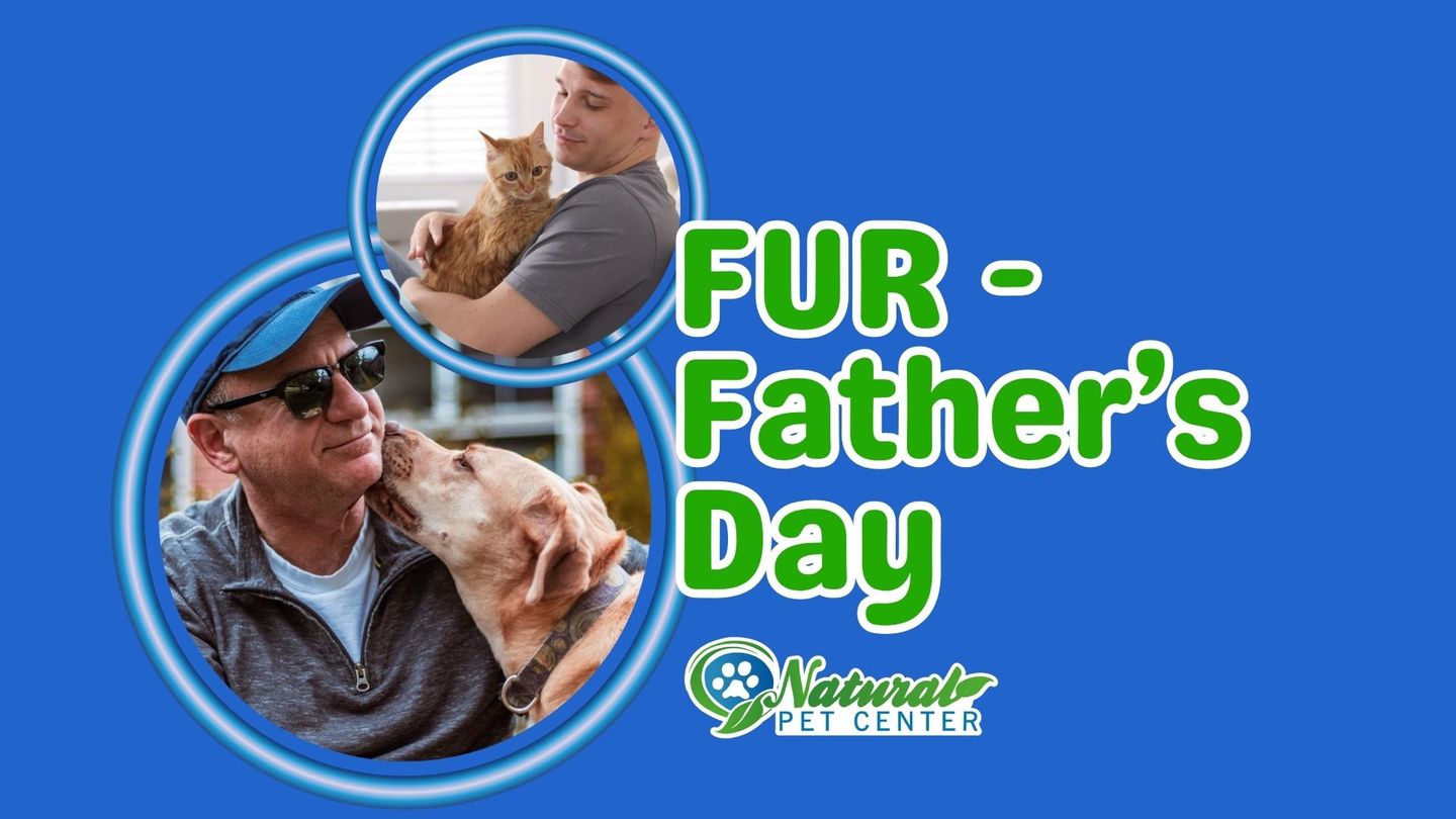 Image of Local Pet Event FUR-Father's Day Fun Nearby
