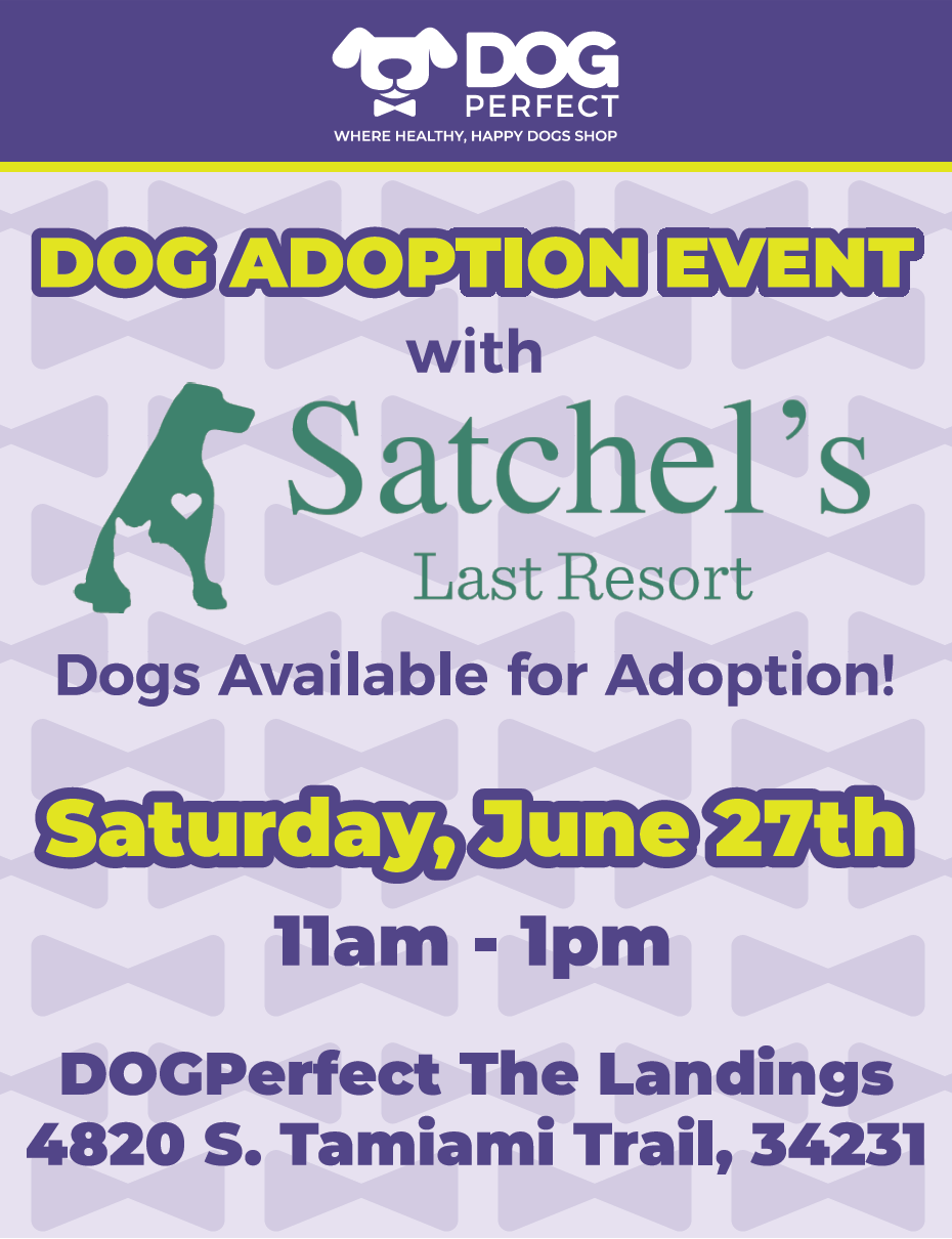 Image of Local Pet Event Adoption Event with Satchels Last Resort! Nearby
