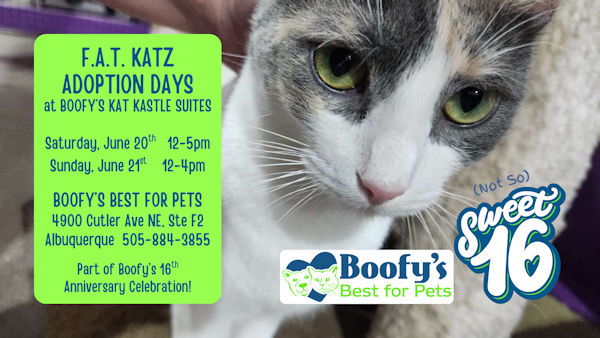 Image of Local Pet Event Adoption Day at Boofy's Kat Kastle Suites (Cutler store) Nearby