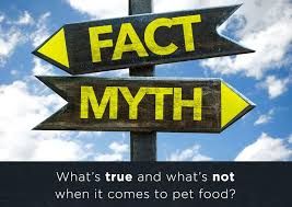 7 Biggest Dog Food Myths
