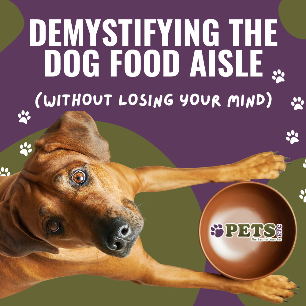 Demystifying the Dog Food Aisle (Without Losing Your Mind)