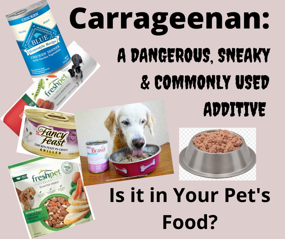 Does Your Pet Food Contain Carrageenan? - Normal, Illinois